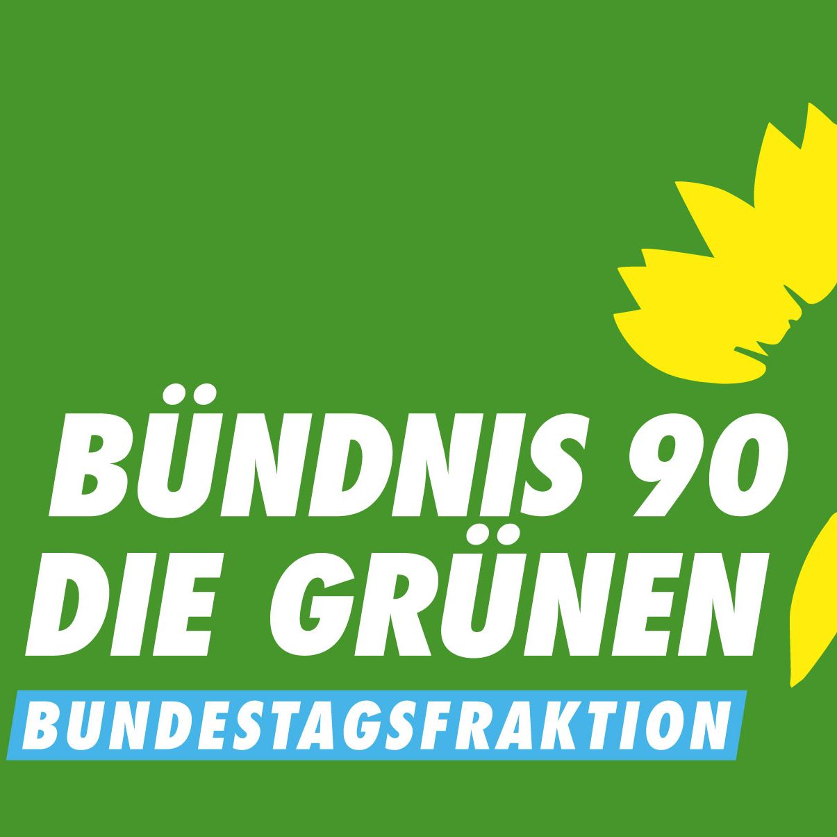 GRÜNE im Bundestag