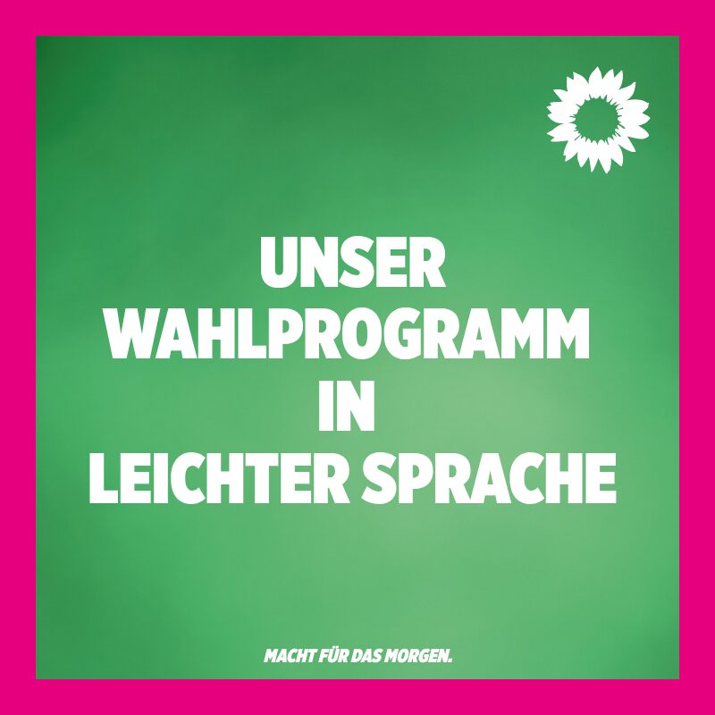 Wahlprogramm einfache Sprache